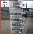 Sistema de agua automático Quails Barreding Cages